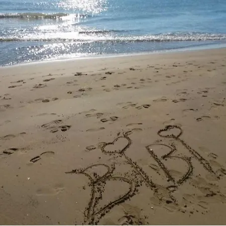 Bright And Comfortable Flat Lejlighed