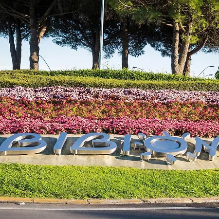 Apartment Bright And Comfortable Flat Bibione
